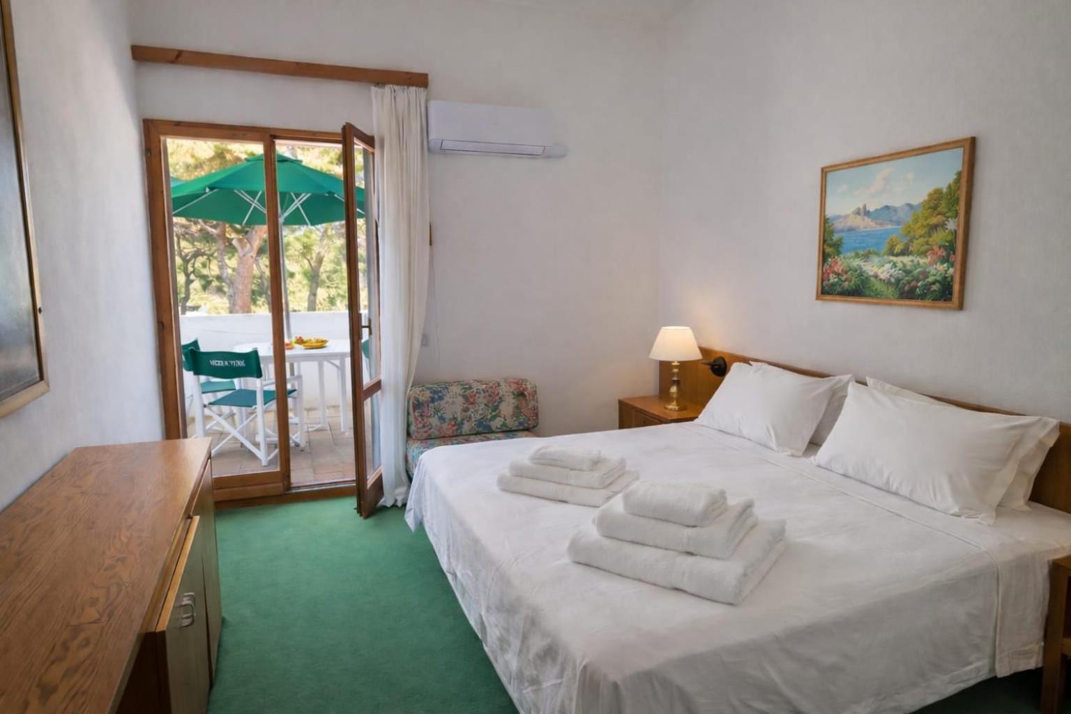Large Double or Twin Room